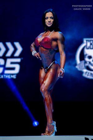 WELLNESS НОВИЧКИ